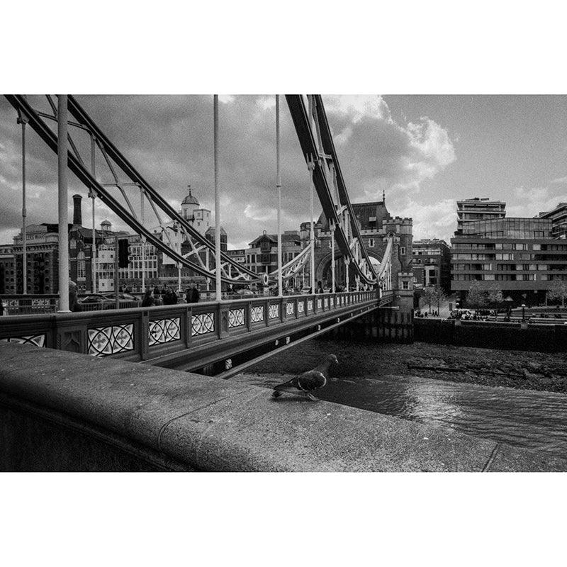 Kiki Pan 320 Black & White 35mm Film - 8storeytree