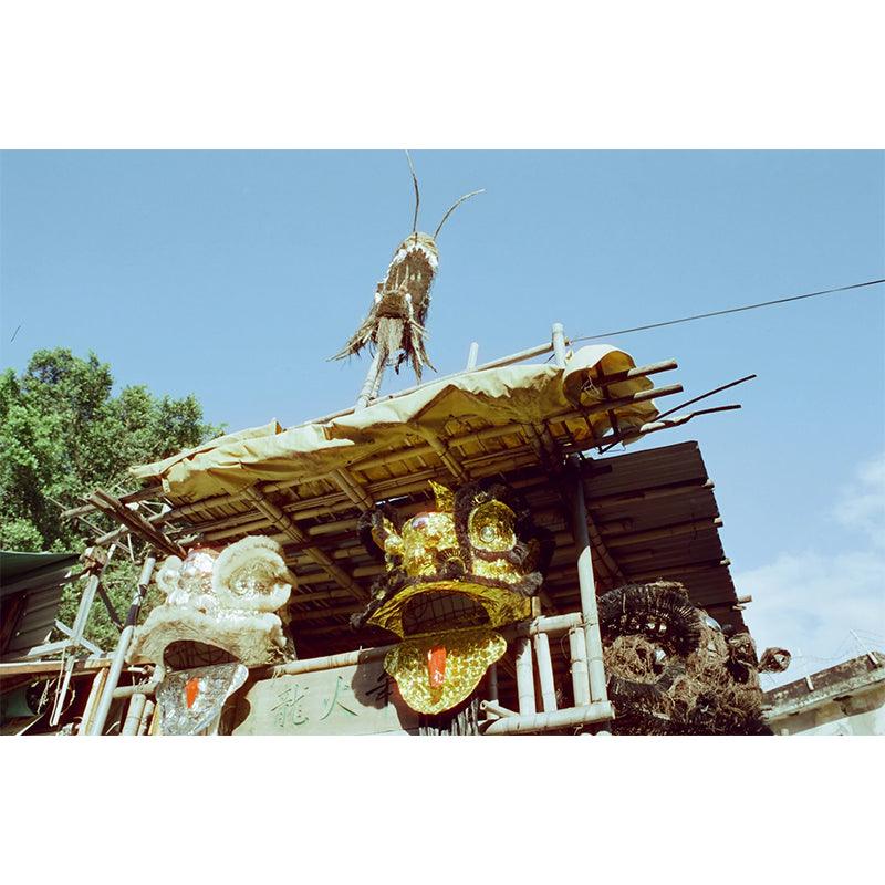 Reflx Lab - 100D Daylight Colour 35mm film (Expiry 12/2023) - 8storeytree