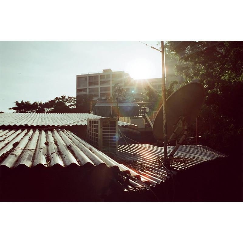 Reflx Lab - 100D Daylight Colour 35mm film (Expiry 12/2023) - 8storeytree