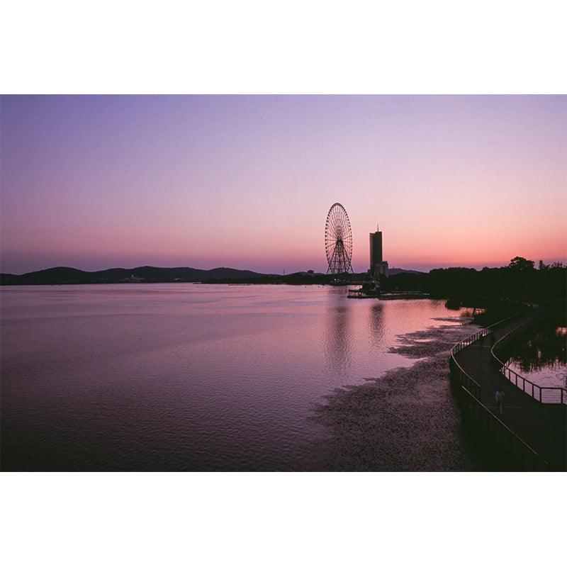 Reflx Lab - 100R Colour Reversal 35mm film (Expiry 12 2023) - 8storeytree