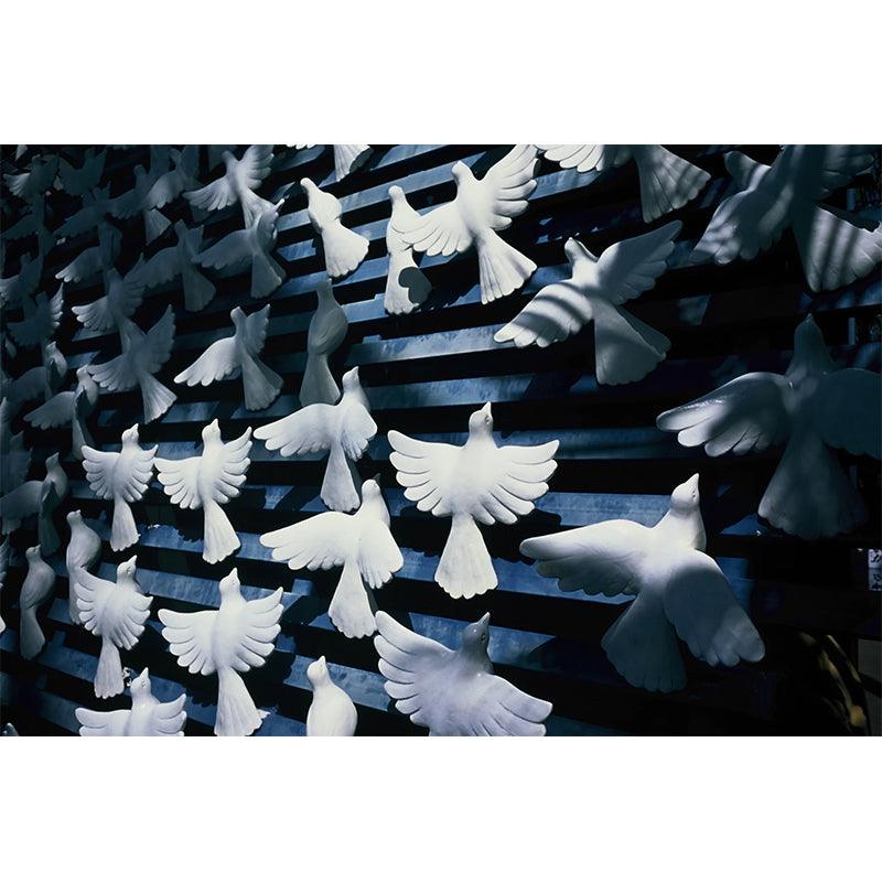 Reflx Lab - 100R Colour Reversal 35mm film (Expiry 12 2023) - 8storeytree