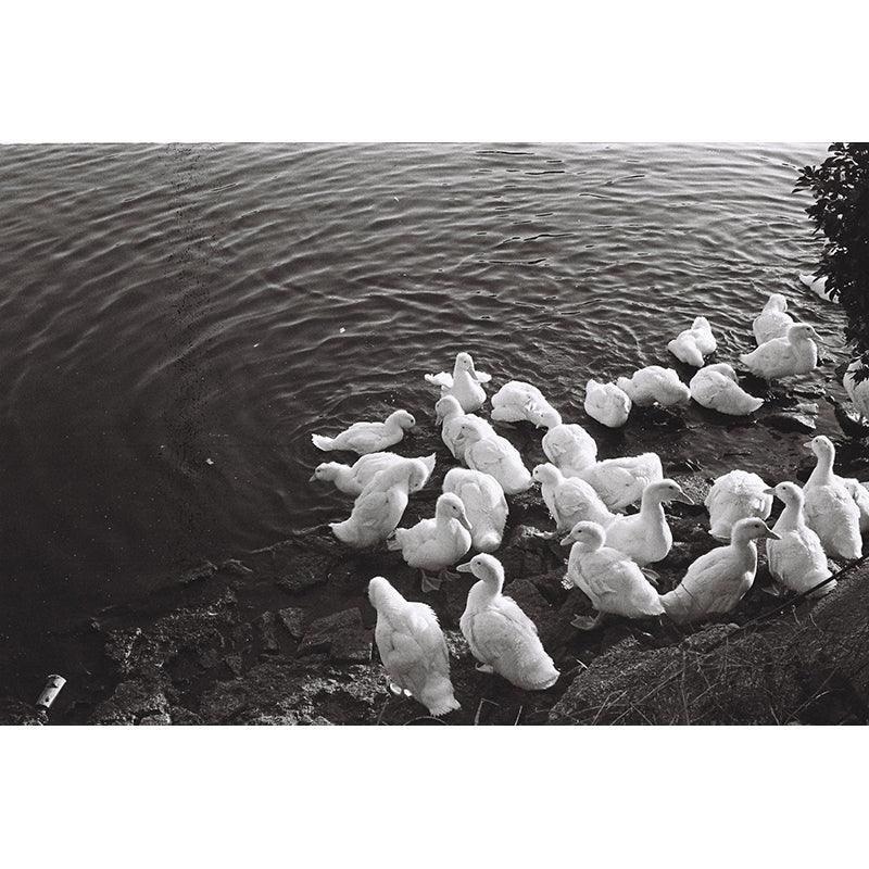 Reflx Lab - Pan400 Black & White 35mm film (Expiry 12/2023) - 8storeytree