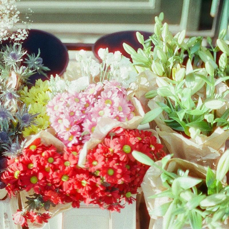 Candido 800 35mm Film - 8storeytree