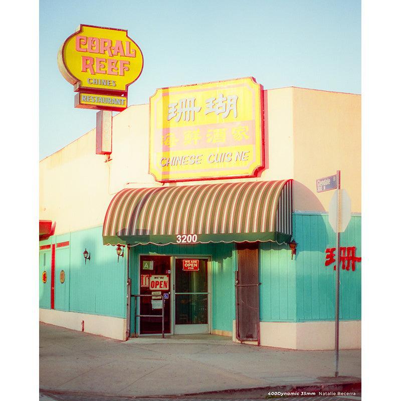 CineStill 400D 35mm Film - 8storeytree