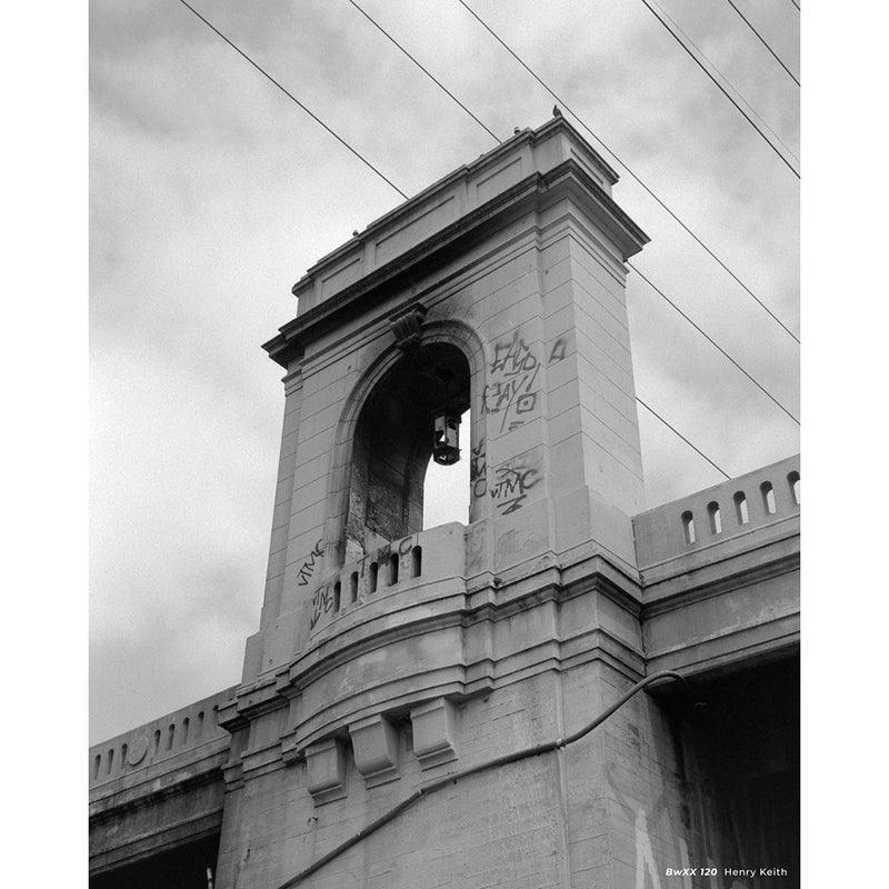 CineStill BwXX Double-X B&W 250 120 Film - 8storeytree