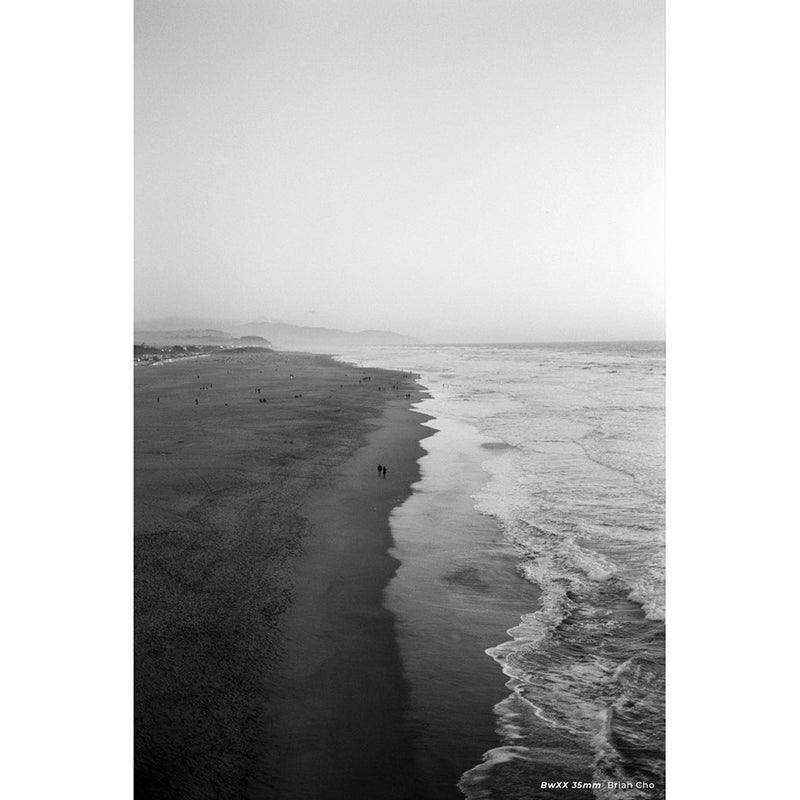 CineStill BwXX Double-X B&W 250 35mm Film - 8storeytree