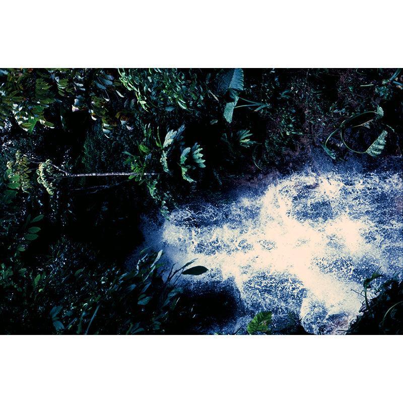 Fujifilm Velvia 100 35mm Film - 8storeytree