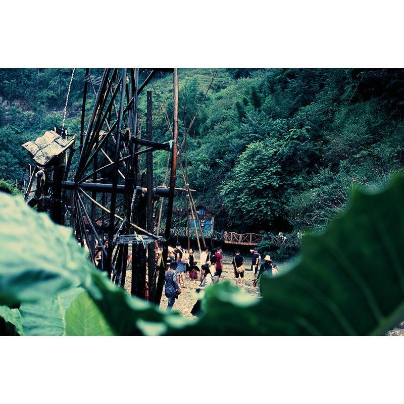 Fujifilm Velvia 100 35mm Film - 8storeytree