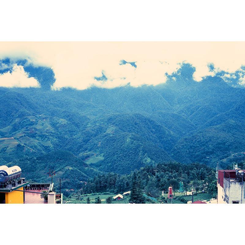 Fujifilm Velvia 100 35mm Film - 8storeytree