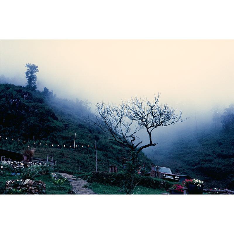 Fujifilm Velvia 100 35mm Film - 8storeytree