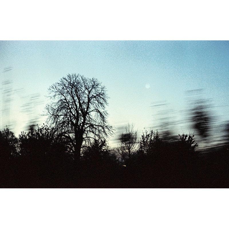 Hands on Film - Amber 200 35mm Film - 8storeytree
