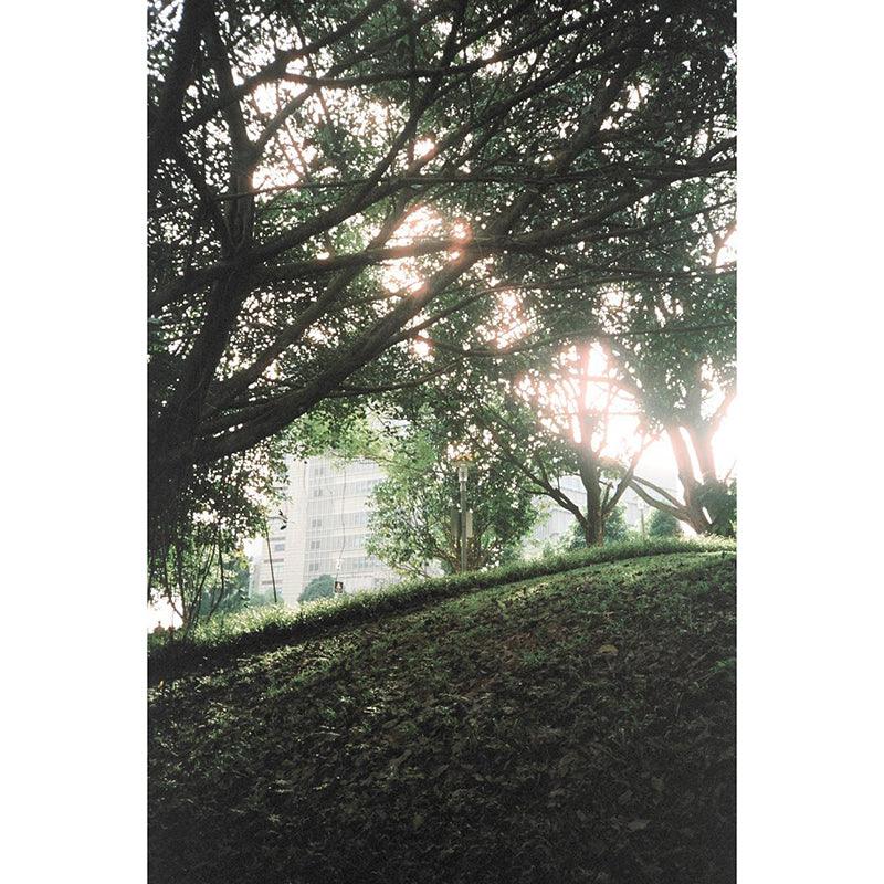 Hands on Film - Spring 200 35mm Film - 8storeytree