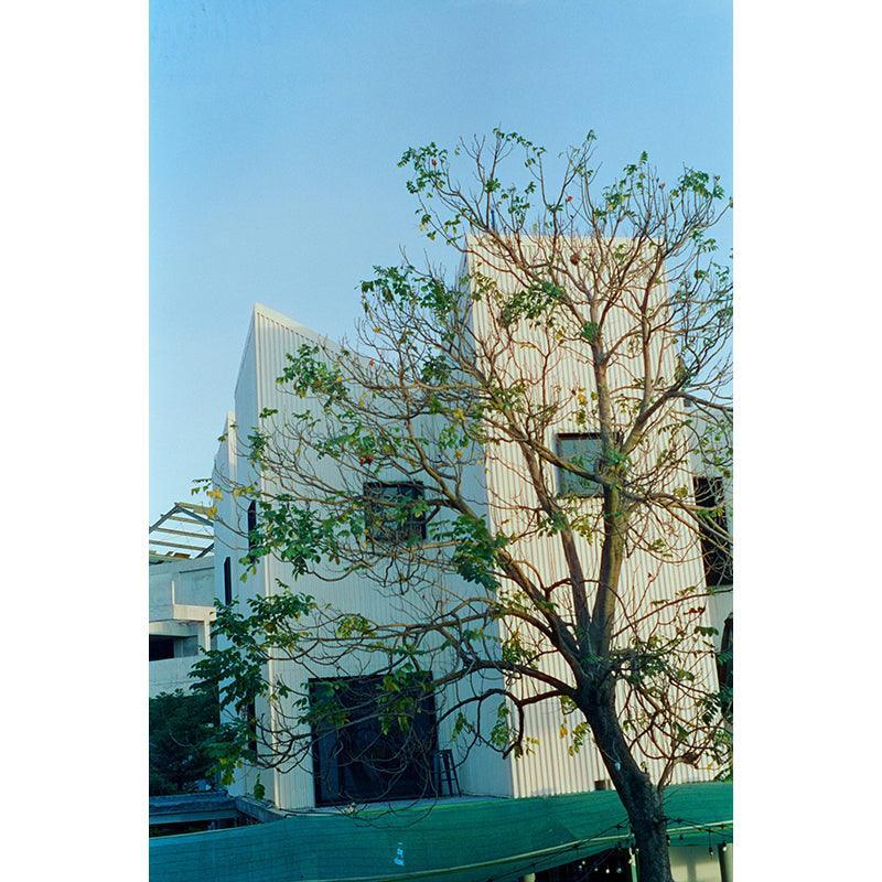 Hoasca - 400 35mm Film - 8storeytree