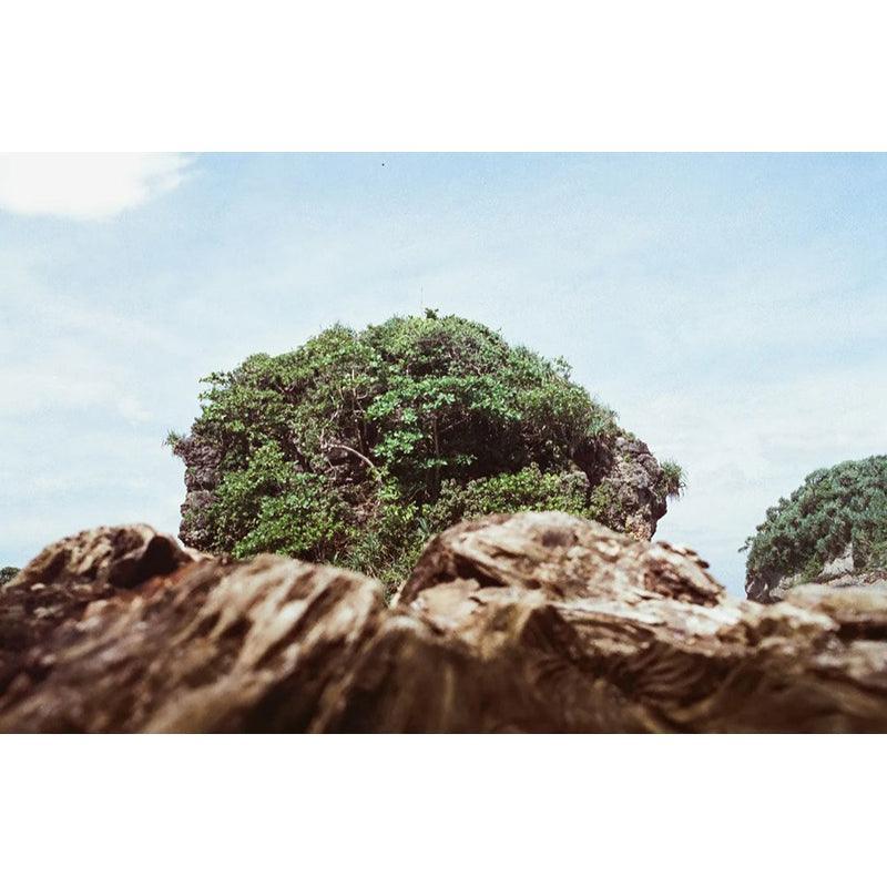 Hoasca - Daylight 200 35mm Film - 8storeytree