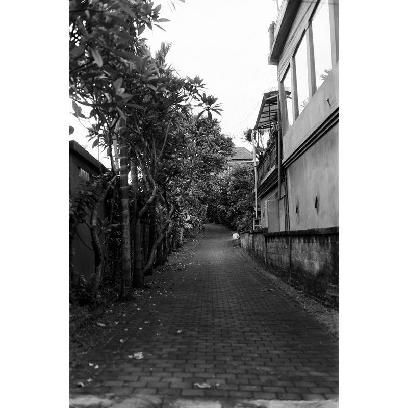 Hoasca - Double-X 200 35mm Film (Expiry 07/2023) - 8storeytree