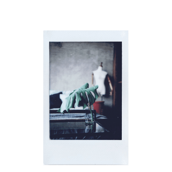 Instax Mini Film (20 Exposures) - 8storeytree