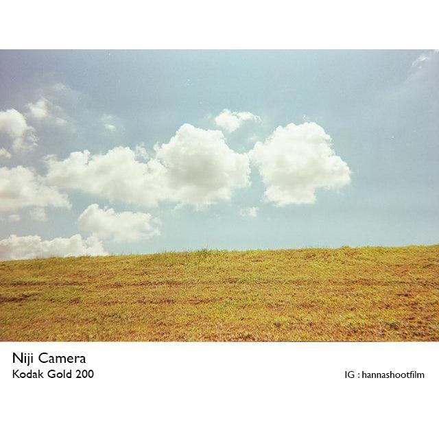 Kodak Gold 200 35mm Film - 8storeytree