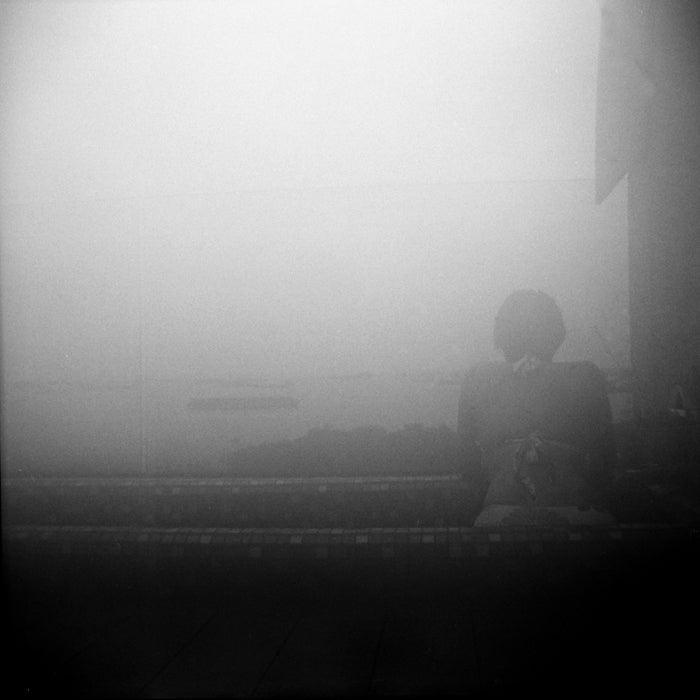 Kodak T-MAX 100 35mm Film (Expired 02/2021) - 8storeytree