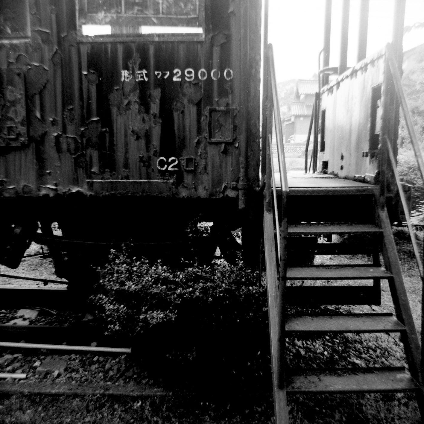 Kodak TRI-X 400TX 400 35mm Film - 8storeytree