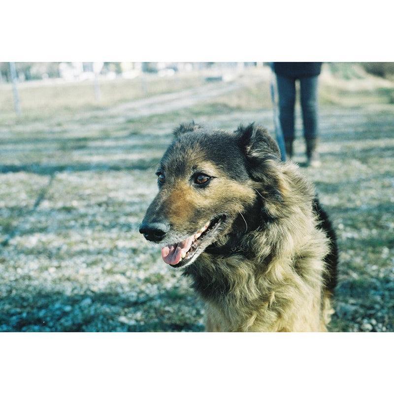 KONO! Original Monsoon 35mm Film - 8storeytree