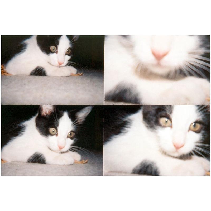 Lomography ActionSampler 35mm Film Camera - 8storeytree