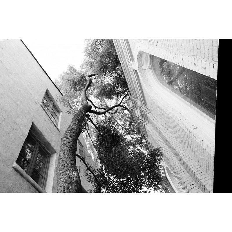 Lomography Berlin Kino B&W 400 35mm Film - 8storeytree