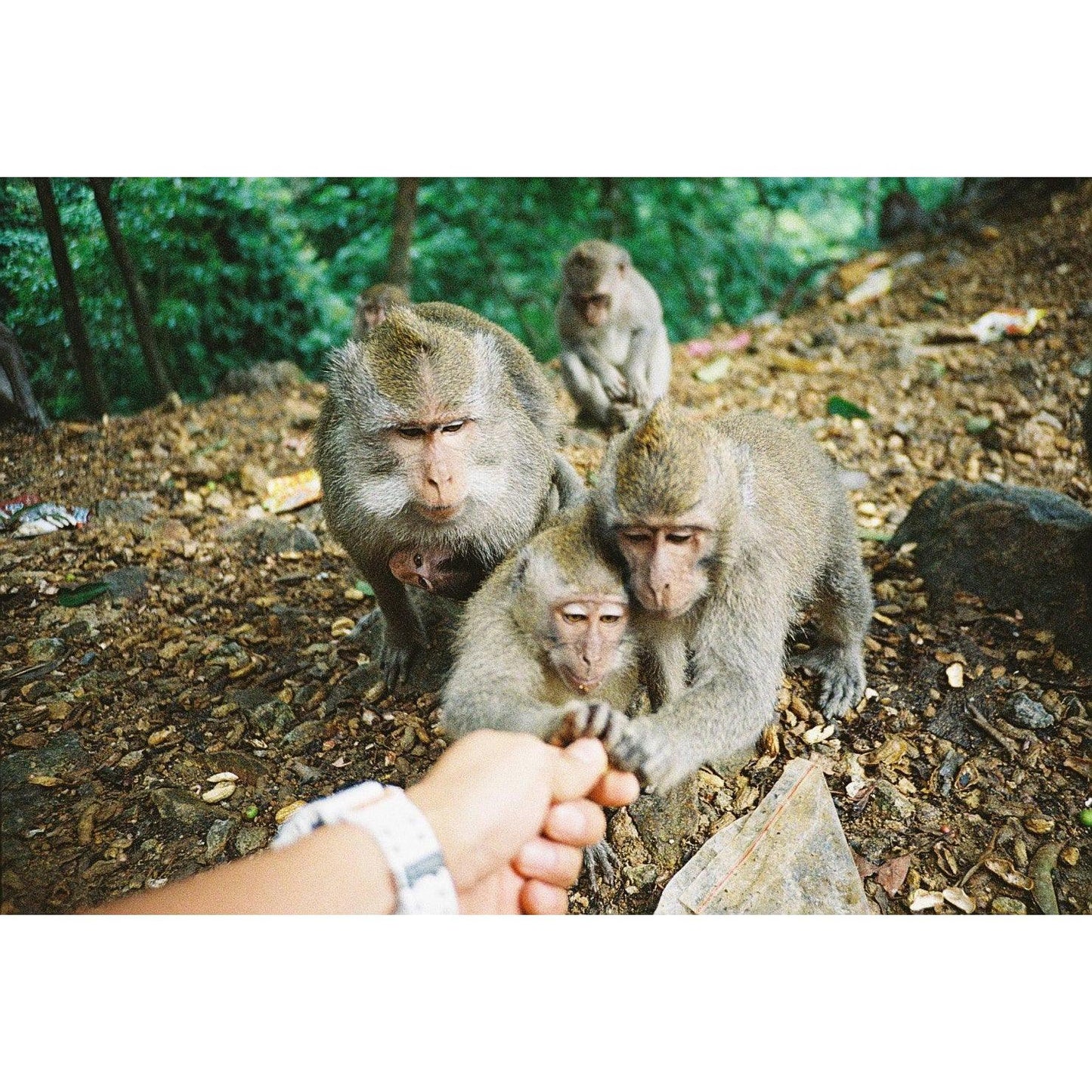 Lomography Color Negative 400 35mm Film (Expiry 07/2023) - 8storeytree