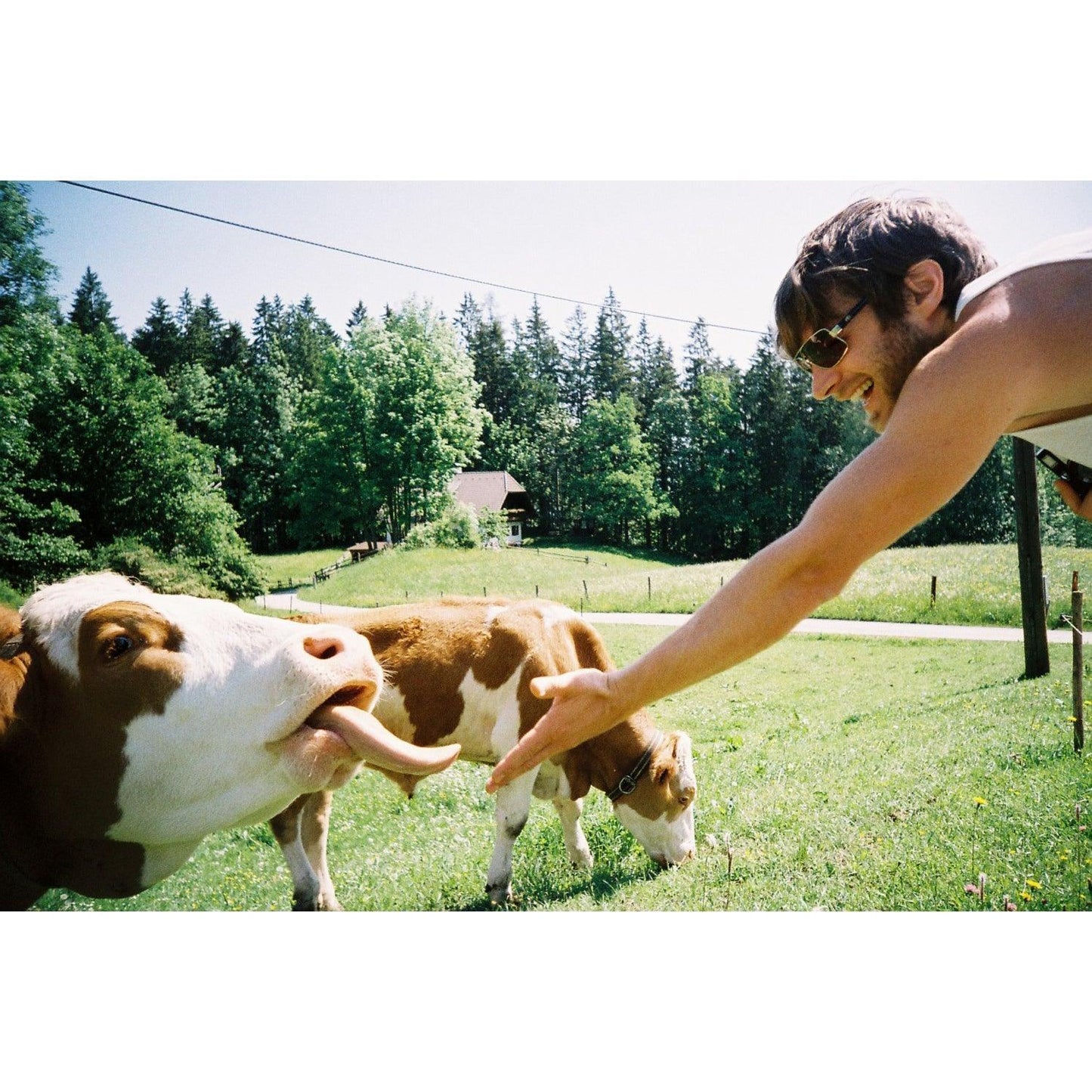 Lomography Color Negative 400 35mm Film (Expiry 07/2023) - 8storeytree