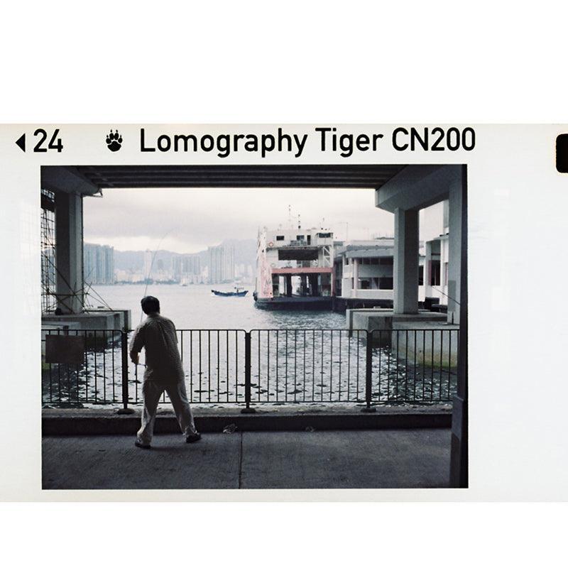 Lomography Color Tiger CN 110 Film ISO 200 - 8storeytree