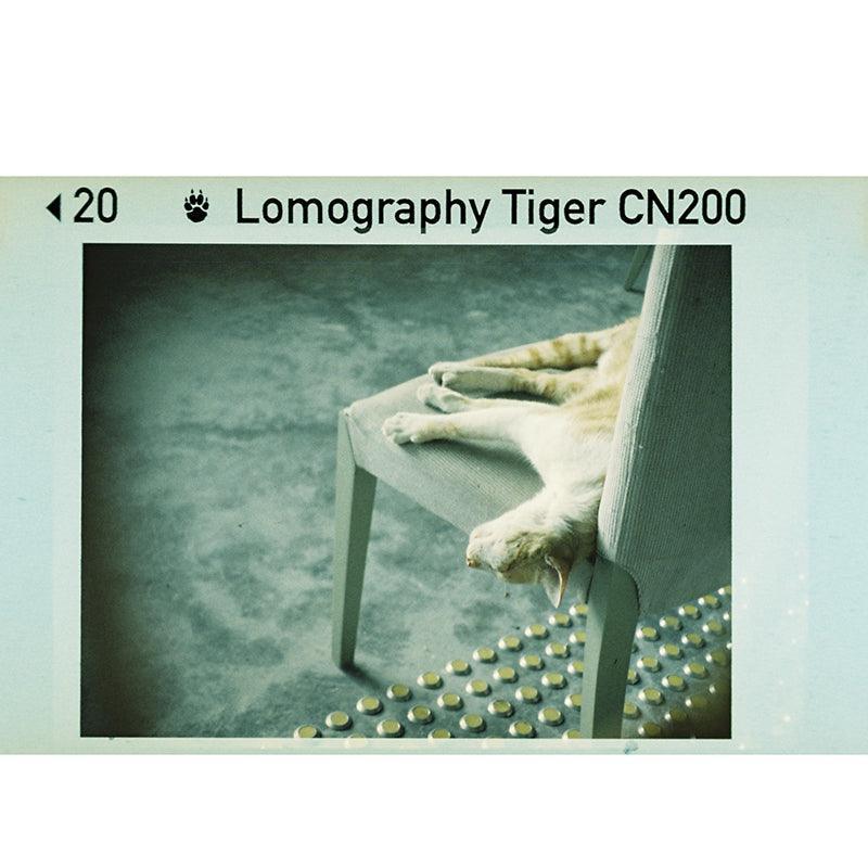 Lomography Color Tiger CN 110 Film ISO 200 - 8storeytree