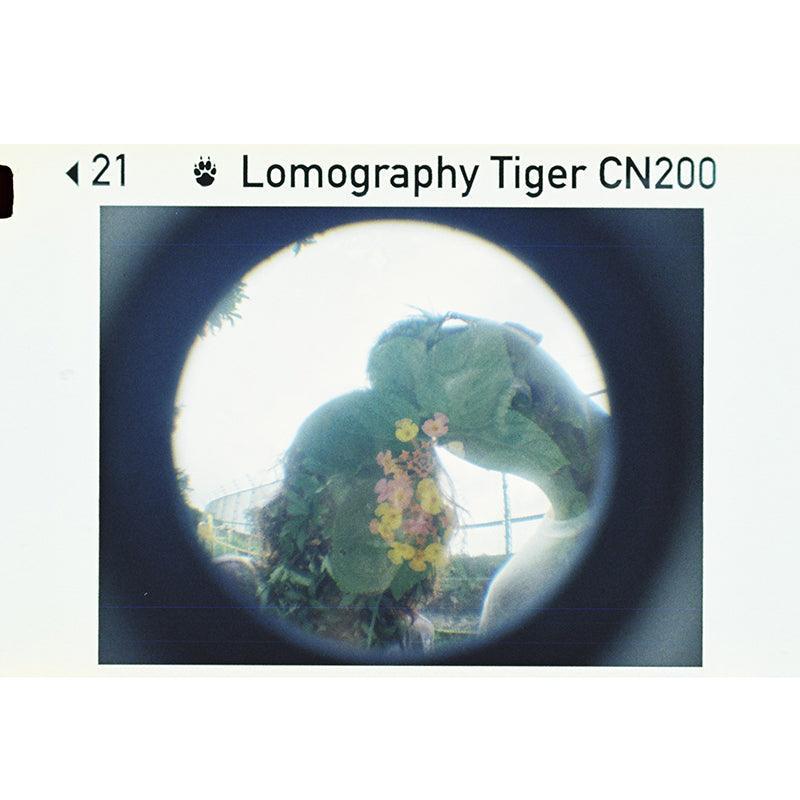 Lomography Color Tiger CN 110 Film ISO 200 x 3 rolls - 8storeytree