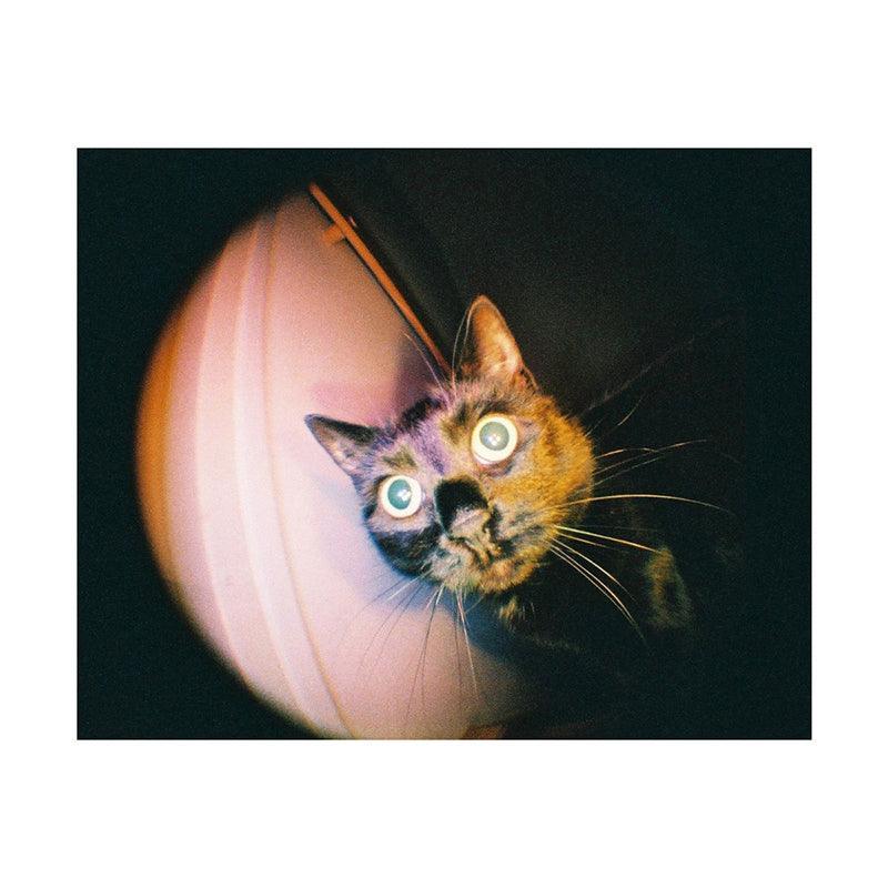 Lomography Fisheye Baby 110 Film Camera - 8storeytree