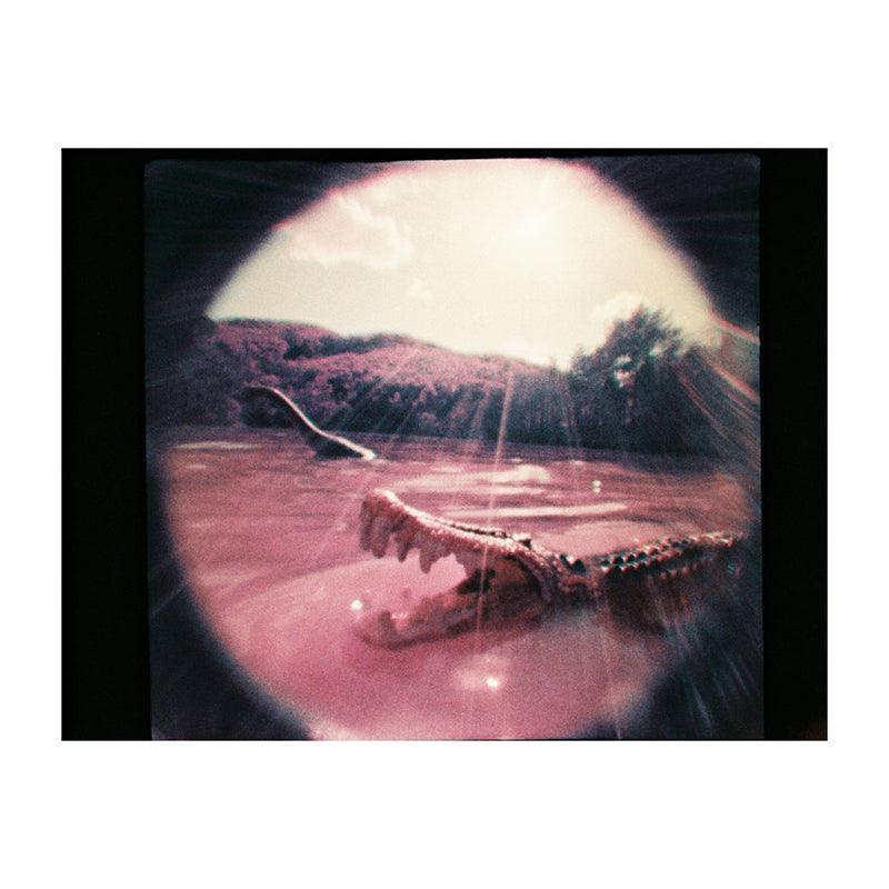 Lomography Fisheye Baby 110 Film Camera - 8storeytree