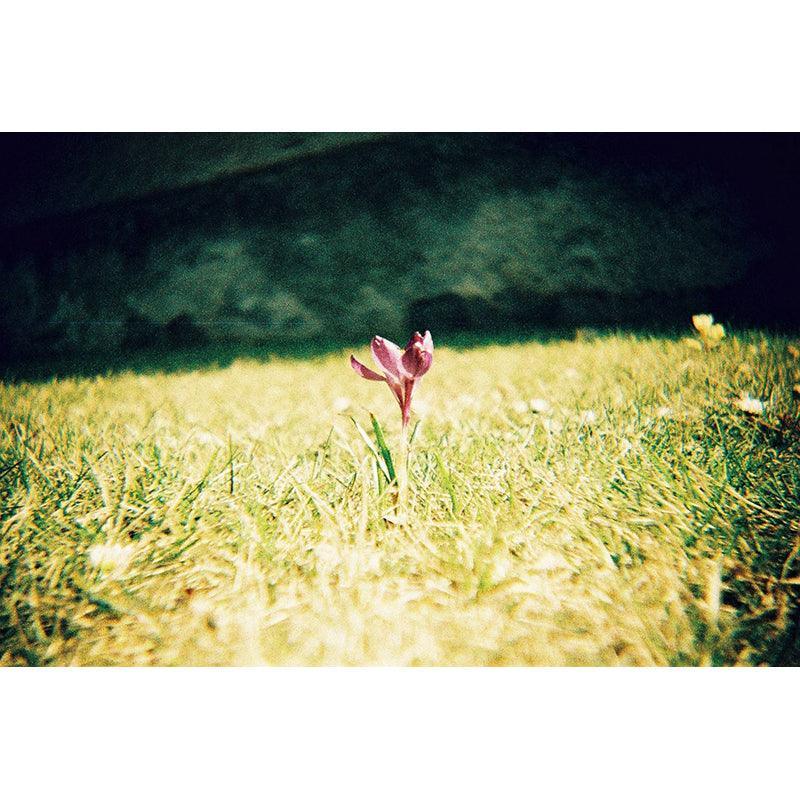 Lomography Konstruktor F Camera - 8storeytree