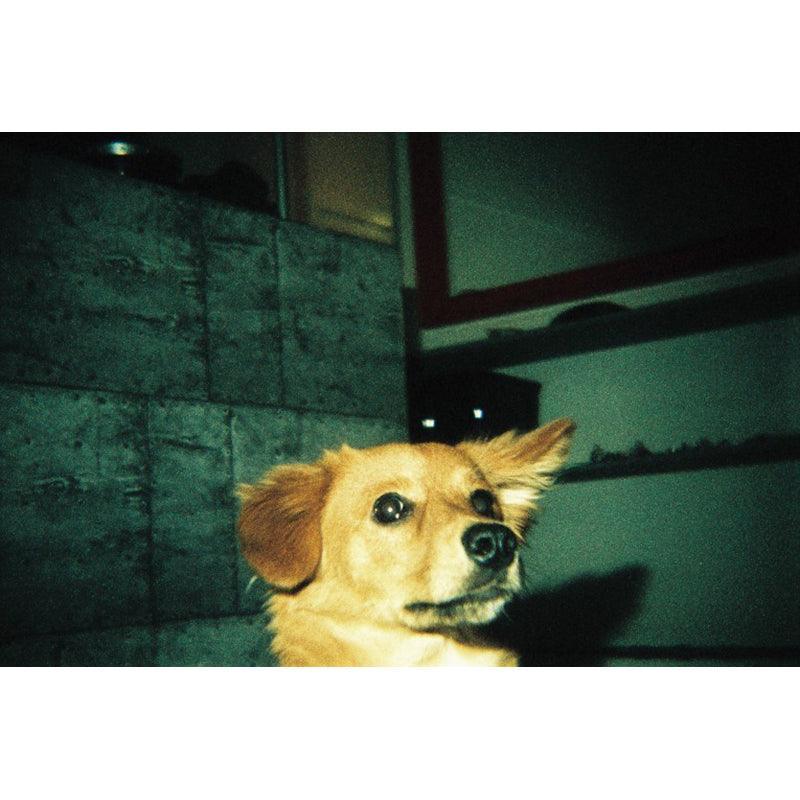 Lomography Konstruktor F Camera - 8storeytree