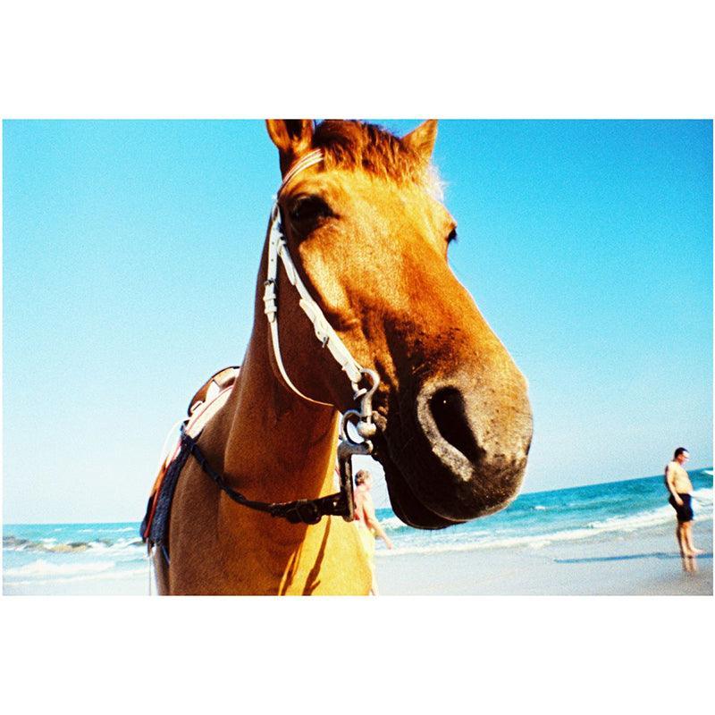 Lomography La Sardina & Flash 35mm Film Camera (Acapulco Caleta Edition) - 8storeytree