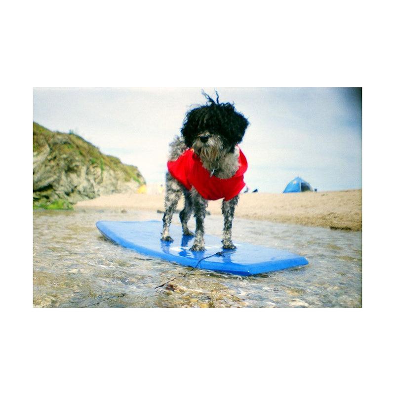 Lomography La Sardina & Flash 35mm Film Camera (Acapulco Caleta Edition) - 8storeytree