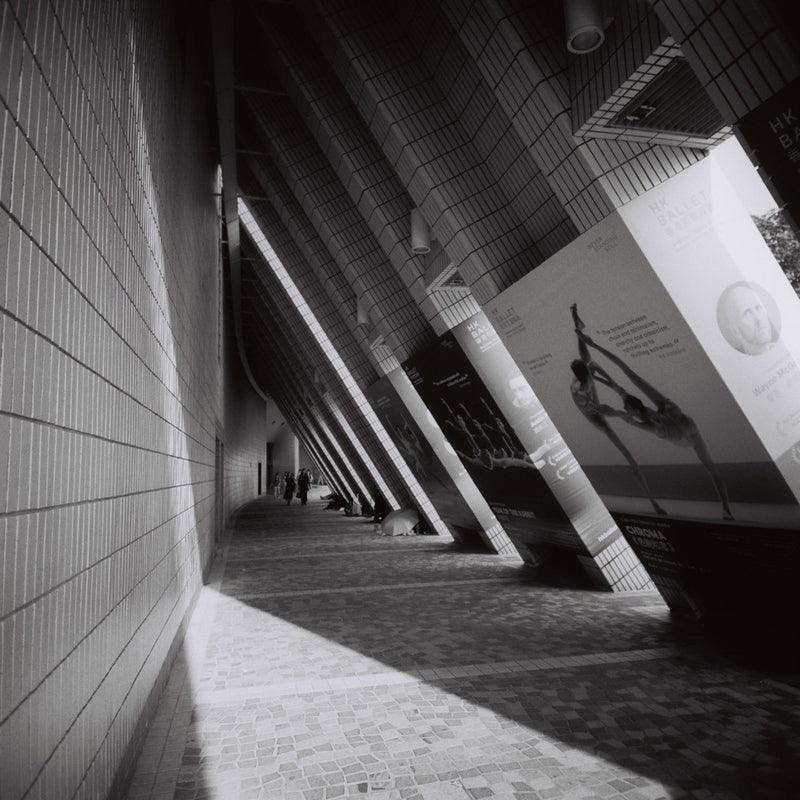 Lomography Lady Grey B&W 400 120 Film (3 Rolls) - 8storeytree