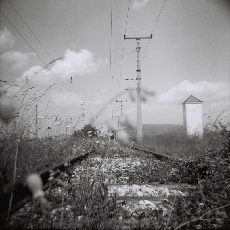 Lomography Lady Grey B&W 400 120 Film (3 Rolls) - 8storeytree