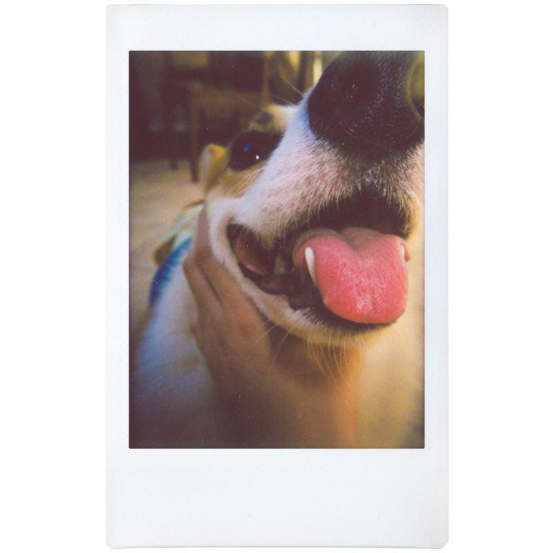 Lomography Lomo Instant Automat Glass Camera (Serengeti Edition) - 8storeytree