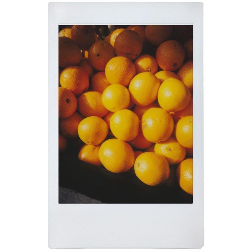 Lomography Lomo Instant Automat Glass Camera (Serengeti Edition) - 8storeytree