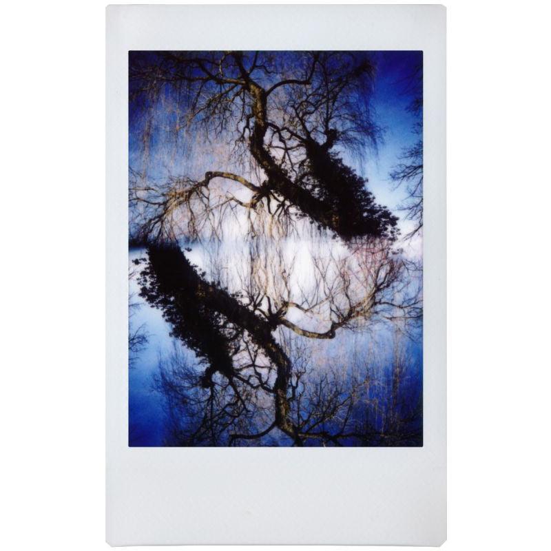 Lomography Lomo Instant Automat Glass Camera (Serengeti Edition) - 8storeytree