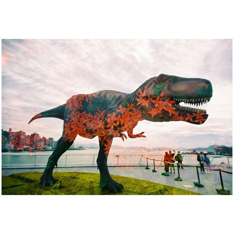 Lomography LomoApparat 21mm Wide-angle 35mm Film Camera - 8storeytree