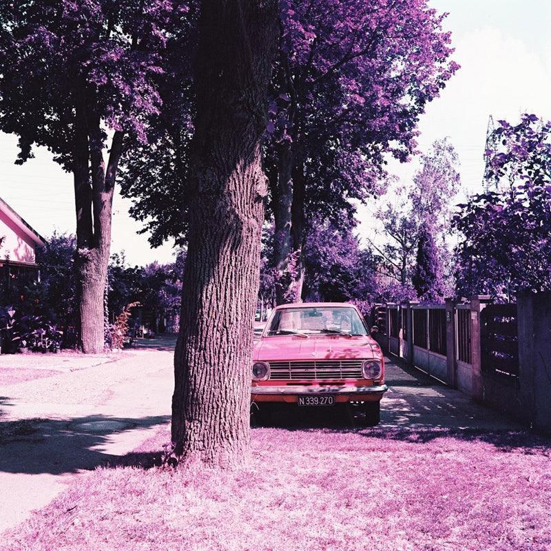 Lomography Lomochrome Purple 100-400 120 Film - 8storeytree