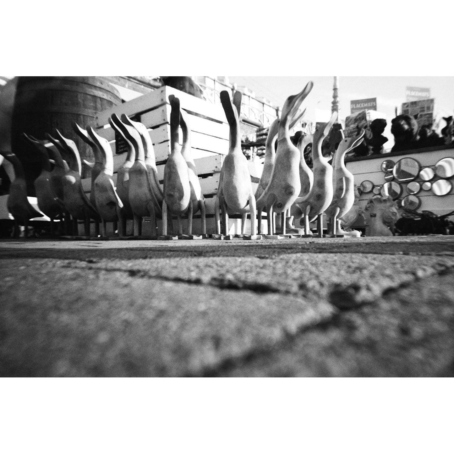 Lomography Simple Use Film Camera Black & White - 8storeytree