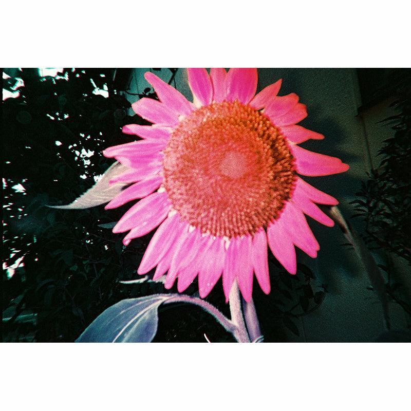Lomography Simple Use Film Camera Lomochrome Purple (Saturday Edition) - 8storeytree