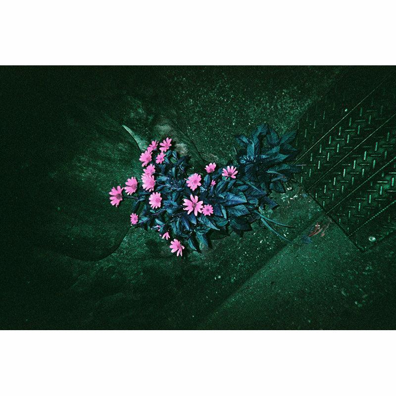 Lomography Simple Use Film Camera Lomochrome Purple (Saturday Edition) - 8storeytree