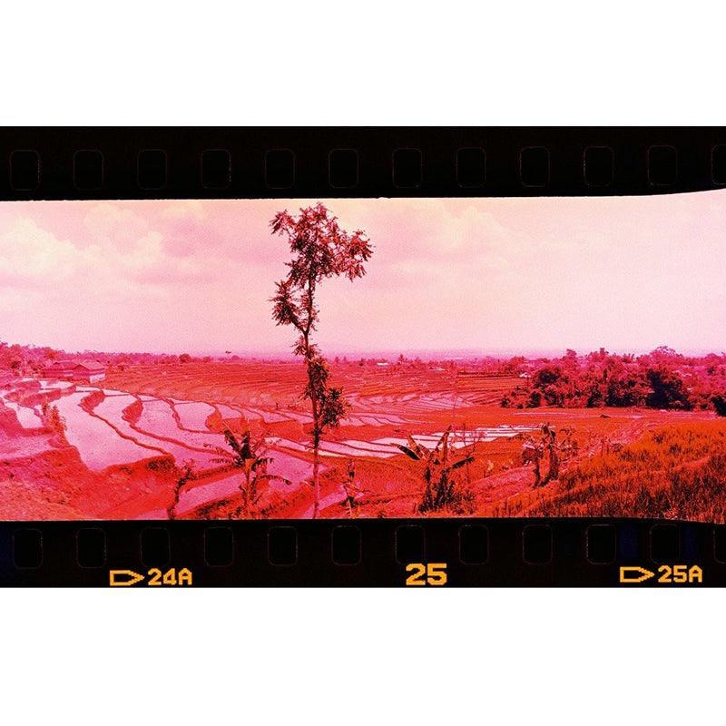 Lomography Smartphone Scanner - 8storeytree