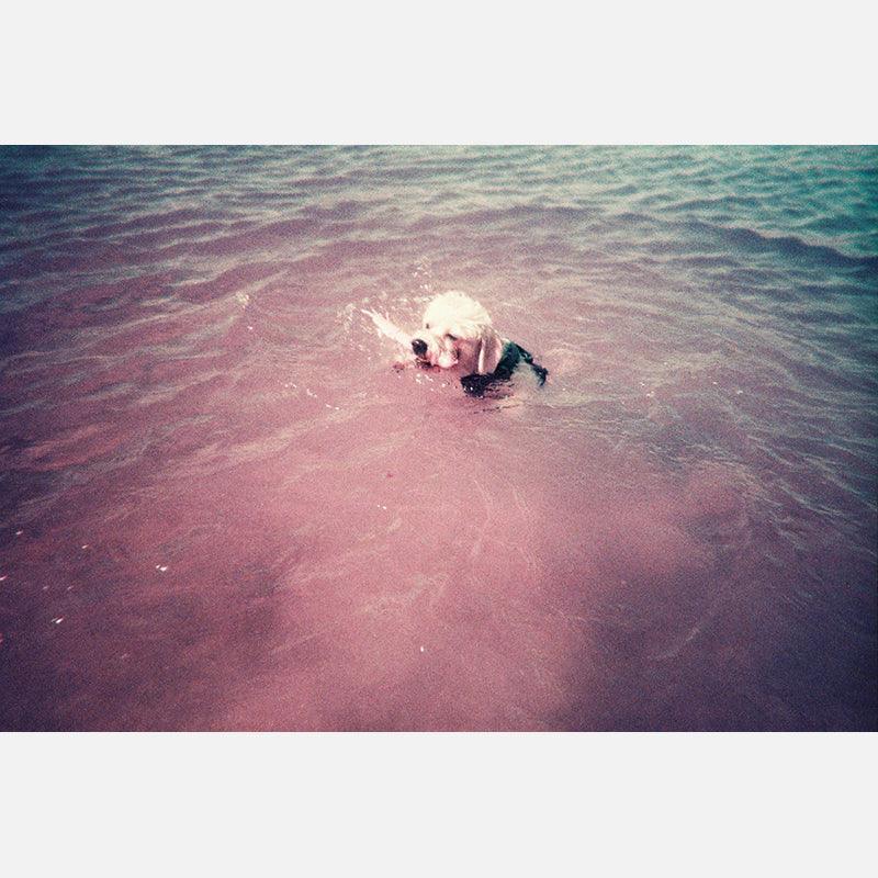 Lomography SUC & Underwater Case LomoChrome Purple - 8storeytree