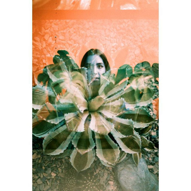 Lomography Turquoise 100-400 35mm Film - 8storeytree